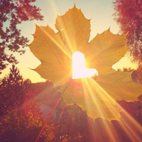 ����늜u���y���C�ļ��g(sh��)�M��܇��